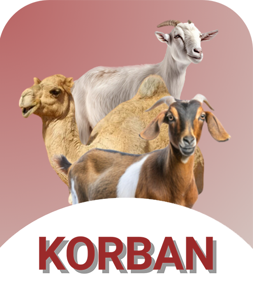 korban el ghazi